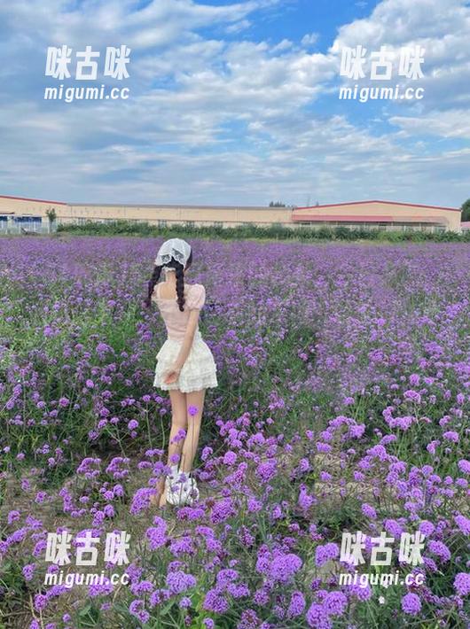 51吃瓜新来的视频，今日必吃，感觉像看到了不应该看的东西，哈哈好神奇！