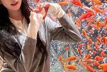 网址www51：当吃瓜不再是件简单的事，瓜农们深藏不露！