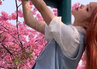 在全网吃瓜，视频记录了我的‘无聊至死’的无奈时刻！