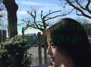 全网吃瓜：吃完这碗瓜，再来一碗传送门分享的八卦！