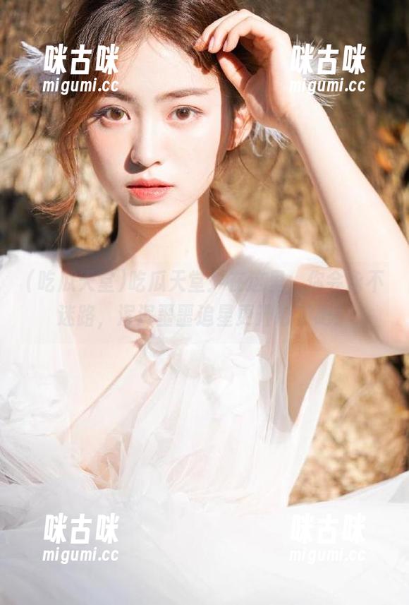 吃瓜天堂：在这里，你会永不迷路，浑浑噩噩追星更开心了吧！