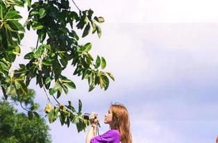 吃瓜网网页版的在线视频，仿佛把人带回了校园八卦时代，耳边回响着那熟悉的“你听说了吗？