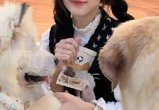 想看黑料正能量吗？视频给你送来不打烊的惊奇！