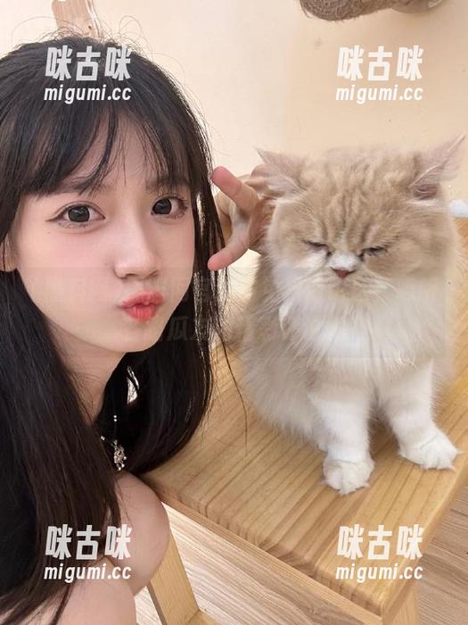 黑料网官网的免费讨论区，听听各路瓜友的精彩评论吧